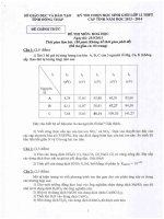 Đề thi học sinh giỏi lớp 12 cấp tỉnh Đồng Tháp năm 2013 - 2014 (Vòng 1) môn hóa