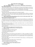 Sưu tầm đề học sinh giỏi sinh học lớp 8 tham khảo bồi dưỡng các năm (29)