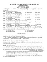 Đề thi HSG môn Tiếng Việt lớp 5 cấp huyện_2