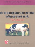 Ebook Một số bệnh nội khoa và ký sinh trùng thường gặp ở bò và bò sữa - Cách phòng trị - NXB. Lao Động