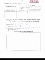 Đề thi giải toán trên Máy tính cầm tay cấp Quốc gia năm 2013 môn Toán lớp 12 THPT