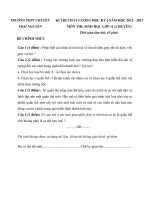 Đề thi học kỳ I lớp 11 THPT chuyên Thái Nguyên năm 2012 - 2013 môn Sinh học (Có đáp án)