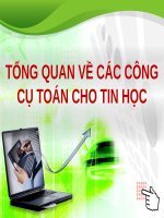 TỔNG QUAN VỀ CÁC CÔNG CỤ TOÁN CHO TIN HỌC