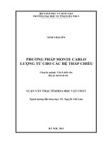 Phương pháp monte carlo lượng tử cho các hệ thấp chiều