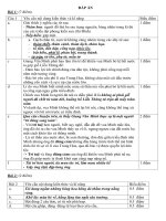 Đề thi thử vào lớp 6 năm 2014 lần 2 - Trường THPT chuyên Amsterdam_Tiếng Việt