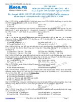 Đề 5 Quy luật di truyền (Mỗi gen trên 1 NST thường)