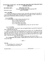 Đề thi học sinh giỏi lớp 9 THCS tỉnh Kiên Giang năm 2013 môn Văn