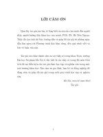 Bài toán cauchy cho phương trình đạo hàm riêng tuyến tính (LV00994)