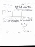 Đề thi giải toán trên Máy tính cầm tay cấp Quốc gia năm 2013 môn Toán lớp 12 THPT - Đề thi đồng đội
