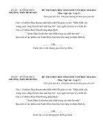 Đề thi học sinh giỏi môn Văn lớp 11 năm học 2010 - 2011