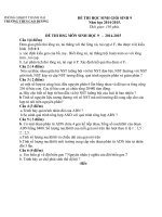 Đề thi và đáp án tham khảo môn sinh học lớp 9 bồi dưỡng 2015 (2)