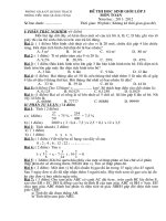 Đề thi học sinh giỏi toán 5