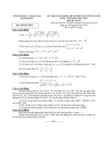 Đề thi chính thức kỳ thi tuyển sinh vào lớp 10 trường THPT Chuyên Nguyễn Trãi môn toán tỉnh Hải Dươngc năm học 2010,2011