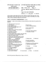 Đề thi học sinh giỏi lớp 12 THPT tỉnh Tiền Giang năm 2012 - 2013 môn anh