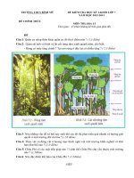 Đề thi học kỳ I lớp 7 THCS Bình Mỹ tỉnh An Giang - Năm 2012 - 2013_Địa lí