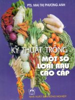 Ebook Kỹ thuật trồng một số loại rau cao cấp - PTS. Mai Thị Phương Anh