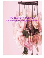 từ điển các từ vay mượn trong tiếng anh