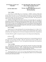 Đề thi học sinh giỏi Lý toán lớp 12 năm học 2012 - 2013 tỉnh vĩnh phúc(có đáp án)