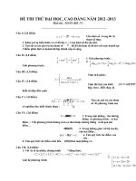 Đề thi thử Đại học cao đẳng năm 2013 môn Toán đề 17