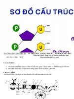 Đề thi học kỳ I lớp 10 THPT chuyên Thái Nguyên năm 2012 - 2013 môn Sinh học (Có đáp án)