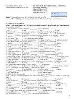 ĐỀ THI CHỌN HỌC SINH GIỎI cấp trường tiếng Anh lớp 11 (Đồng Tháp)