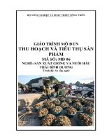 Giáo trình Thu hoạch và tiêu thụ sản phẩm - MĐ06- Sản xuất giống và nuôi hàu Thái Bình Dương