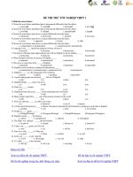 ĐỀ THI THỬ TỐT NGHIỆP THPT 1 môn tiếng anh