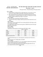 Đề thi học sinh giỏi lớp 10 môn địa năm học 2010 - 2011 tỉnh vĩnh phúc