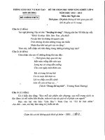 Đề thi chọn học sinh năng khiếu lớp 8 năm 2012 - 2013, Phòng GD-ĐT Sơn Dương_Văn