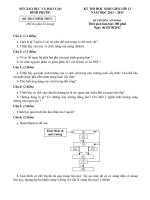 Đề thi học sinh giỏi lớp 12 THPT tỉnh Bình Phước năm 2012 - 2013 môn Sinh