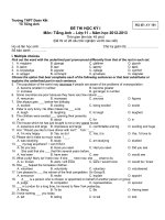Đề thi Học kỳ I lớp 11 THPT tỉnh Đồng Nai năm 2012 - 2013 Môn Anh