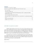 Tiểu luận môn thông tin di động LỊCH SỬ CỦA OFDM