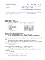 ĐỀ KIỂM TRA CUỐI HK2 MÔN TIẾNG VIỆT 5