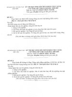 Đề thi học sinh giỏi môn lý lớp 9