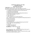 ĐỀ KIỂM TRA ĐỊNH KÌ GIỮA HỌC KÌ 2 MÔN TIẾNG VIỆT LỚP 3