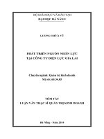 Phát triển nguồn nhân lực tại công ty điện lực gia lai