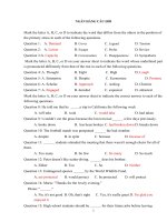 Đề thi thử THPT quốc gia môn Tiếng Anh 2015 số 28