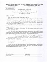 Đề thi học sinh giỏi lớp 12 cấp tỉnh Đồng Tháp năm 2013 - 2014  Vòng 1 môn Ngữ văn