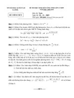 Đề thi học sinh giỏi tỉnh Cà Mau lớp 12 năm 2010 môn Toán