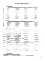 đề ôn thi HKI tiếng Anh 11
