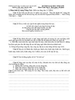 Đề khảo sát chất lượng học sinh giỏi Tiếng Việt lớp 5