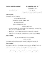 Đề thi thử Quốc gia lần 1 năm 2015 môn Ngữ Văn trường THPT Lê Hồng Phong, Phú Yên