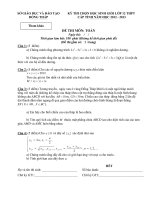 ĐỀ DỰ BỊ HSG TOÁN THPT ĐỒNG THÁP 2012-2013