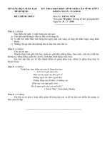 Đề thi học sinh giỏi lớp 5 tỉnh Bình Định năm 2010