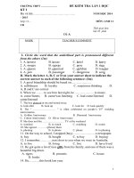 Kiểm tra 1 tiết lần 1 HKI tiếng Anh l ớp 11