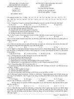 Đề thi thử THPT Quốc gia 2015 môn Hóa học trường THPT Phan Đăng Lưu, Tp Hồ Chí Minh