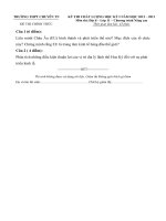 Đề thi học kỳ I lớp 11 THPT chuyên Thái Nguyên năm 2012 - 2013 môn Địa lý (Có đáp án)_Chương trình nâng cao