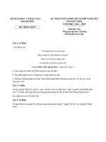 Đề thi tuyển sinh văn lớp 10 THPT Chuyên Nguyễn Trãi