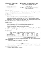 Đề thi học sinh giỏi môn Địa lớp 12 năm học 2012 - 2013 tỉnh vĩnh phúc(có đáp án)