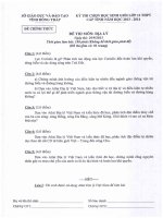 Đề thi học sinh giỏi lớp 12 cấp tỉnh Đồng Tháp năm 2013 - 2014 (Vòng 1) môn địa